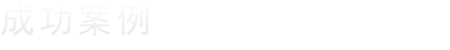 成功案例